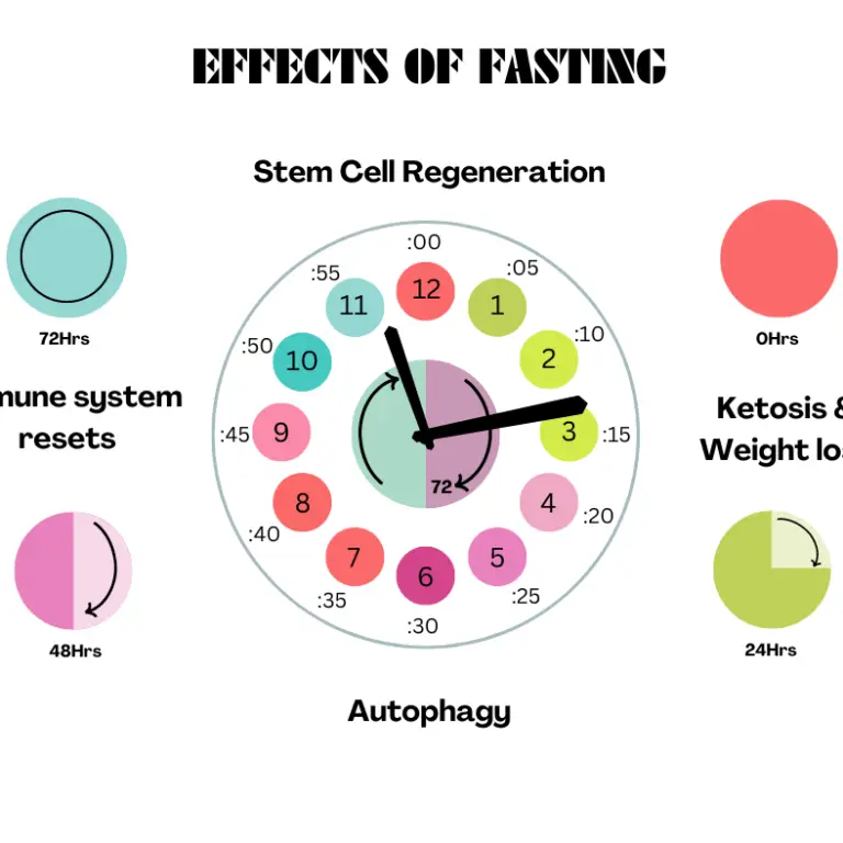 What Happens at Each Stage of Fasting?